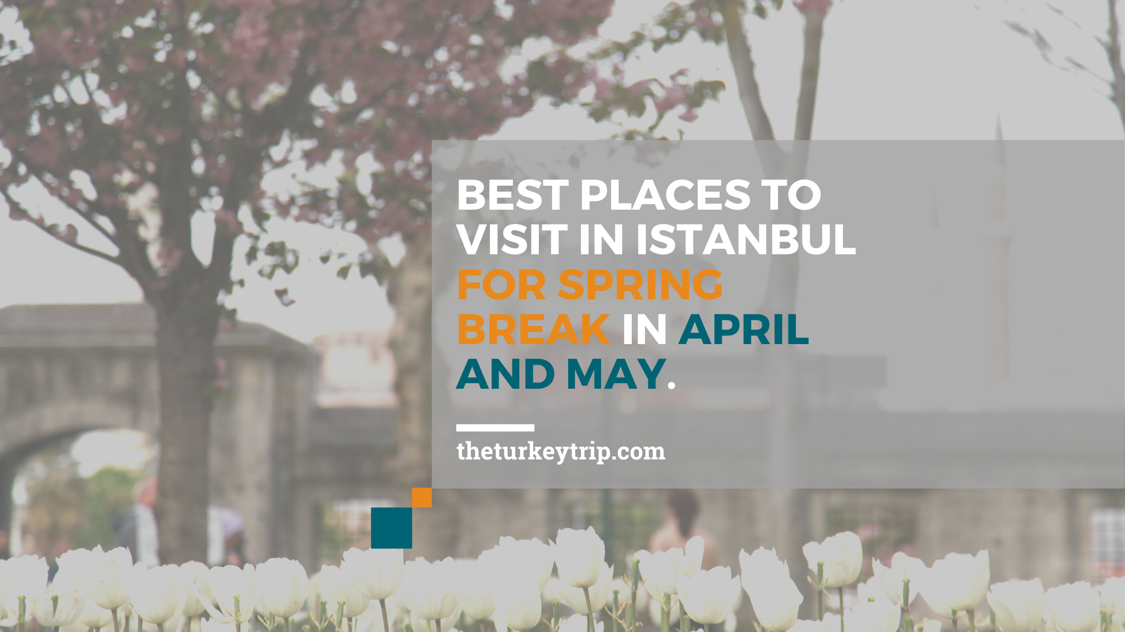 Best Famous Places To Visit In Istanbul Turkey For Spring Break In April And May